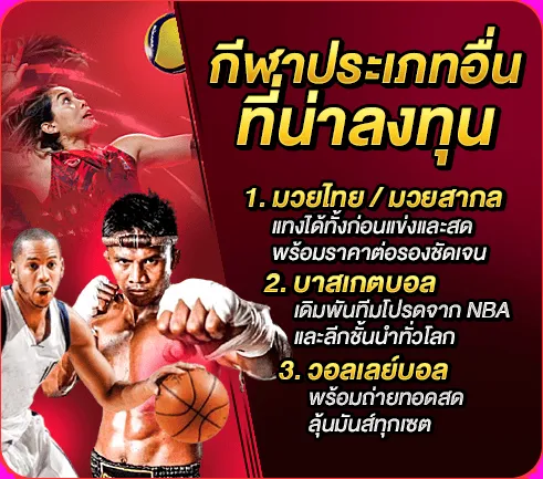 กีฬาประเภทอื่นที่น่าลงทุน