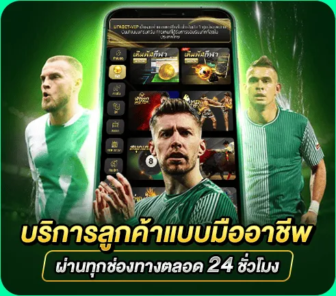 ระบบหลังบ้านคุณภาพสูง